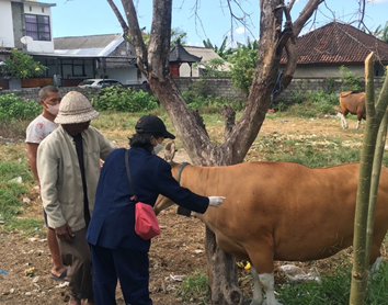 Keberlanjutan Program Vaksinasi Penyakit Mulut dan Kuku pada Ternak sebagai Program Bantuan Kuliah Kerja Nyata di Desa Batubulan